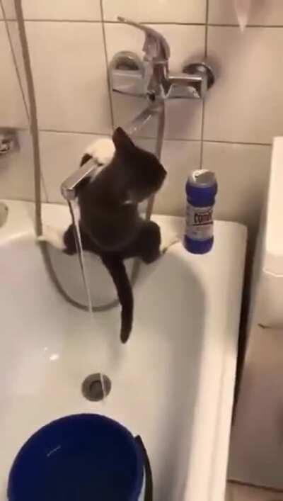 Ninja skill level: noob