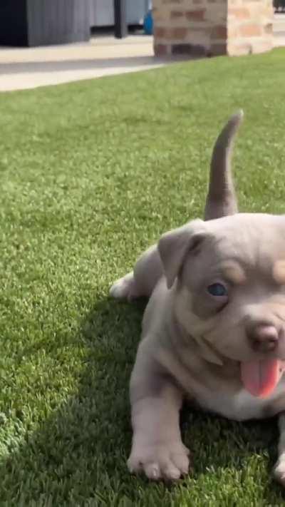 Name suggestions, He&rsquo;s very strong and protective