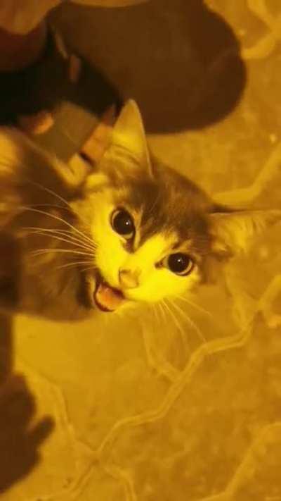 Shout out from Morocco