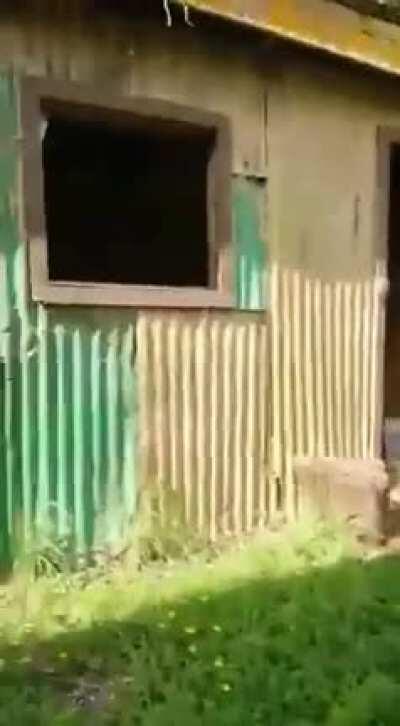 El Sr.Carrasco hizo meo gol