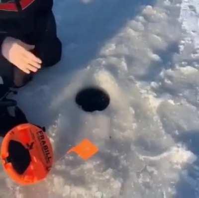 To go ice fishing