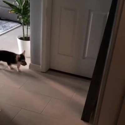 Ahsoka found the hallway mirror