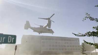 Video of osprey taking off from yesterday