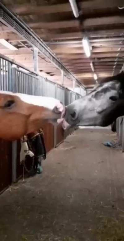 What a stable relationship