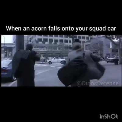 I've been cooking, enjoy 