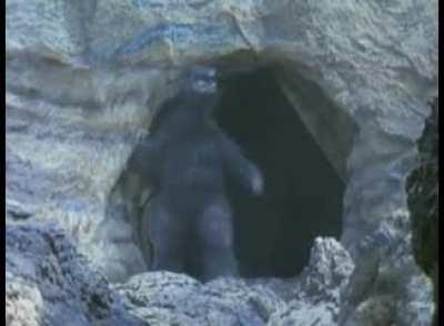 The Lord has risen. Happy Easter