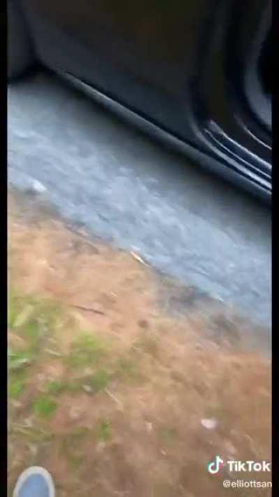 Some people are the worst. Fortunately all of these little ones found a new home.