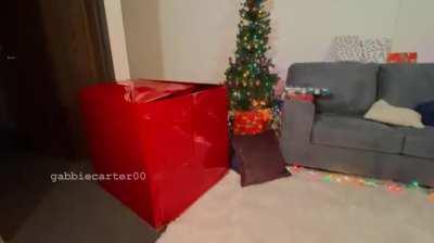 Someone`s Been a Very Very Good Boy