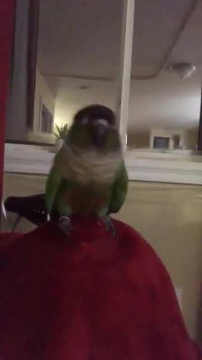 Hardbass birb 9 - The Great Comeback