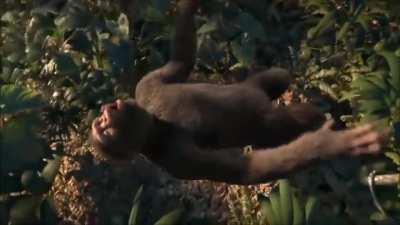 /r/consumeproduct users when the sub gets spared tomorrow