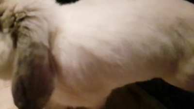 We have lift off 🐰🚀