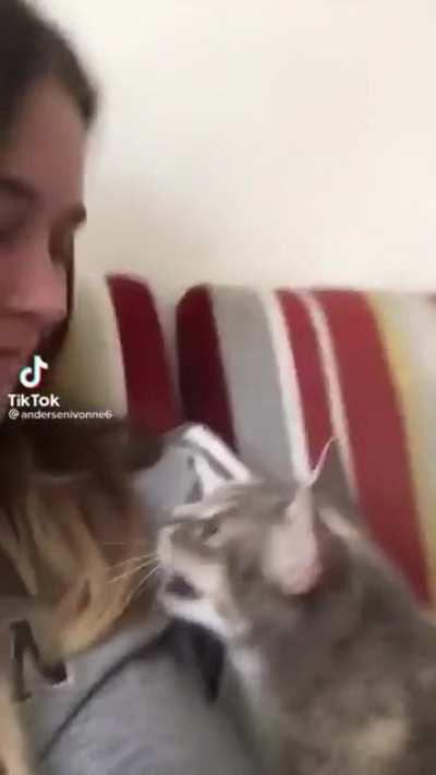 speaking the same language