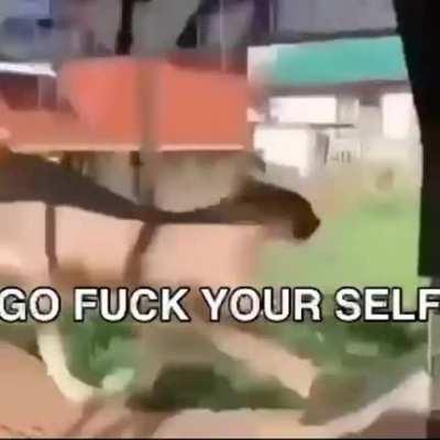 Credit to floppaworld on Instagram