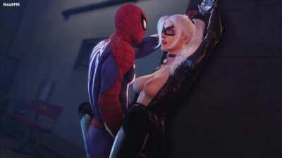 Black Cat x Spider-Man (Nes)