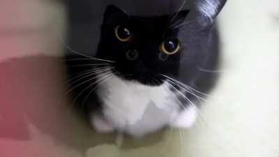 consider the following prequel