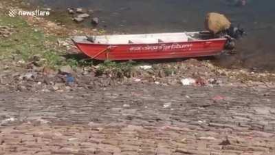 Crocodile stealthily approaches and kills a wandering stray dog