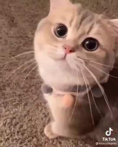 How music is actually made