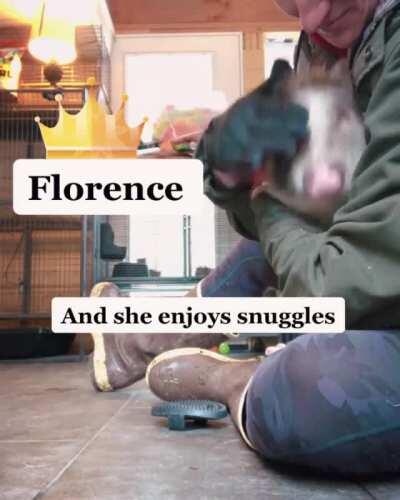 Florence is a new rescue and already knows life's gonna be good at the Odd Man Inn Animal Refuge