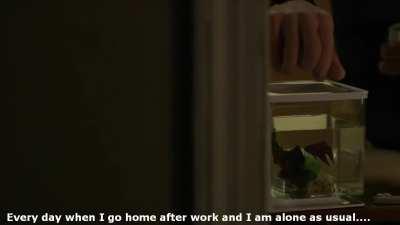 Every day when I go home after work and I am alone as usual....