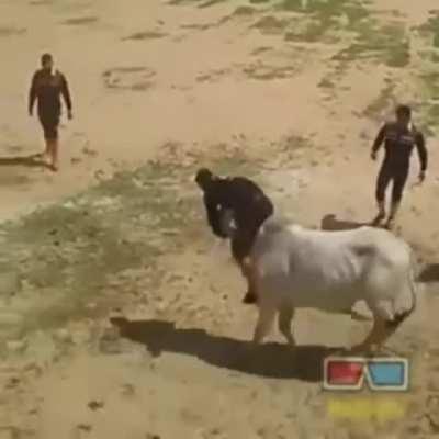 If you mess with the bull, get the horns.