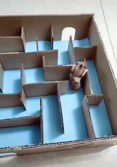 Thinking outside of the box