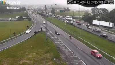 Попугайчик