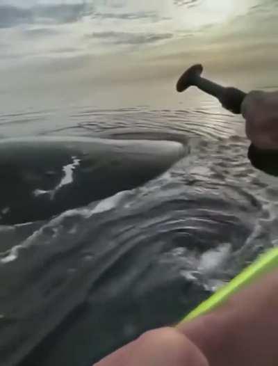 How are they casually laughing? 😮‍💨