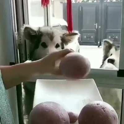 Steamed buns for good boys and girls