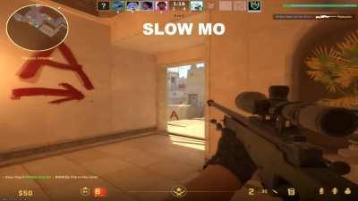 Died behind a wall in palace