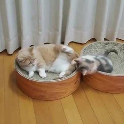 Let me enjoy my Sunday!