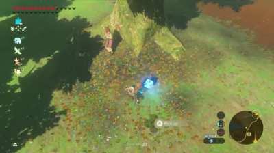 I do what the fuck I want to do.