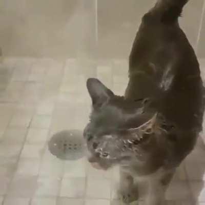 Heading back to home in hot summer day