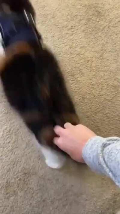 Stolen from u/—SpeedDemon— but I thought it fits here perfectly