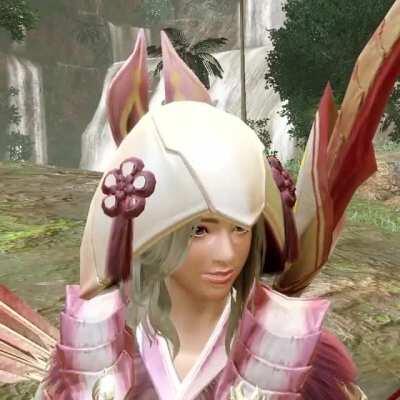 Mizutsune Armor