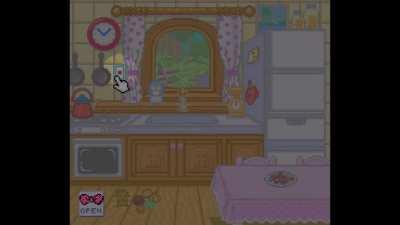 The World Inside the Sink