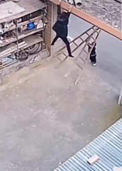 a little guy but a big hero saving his mom from falling