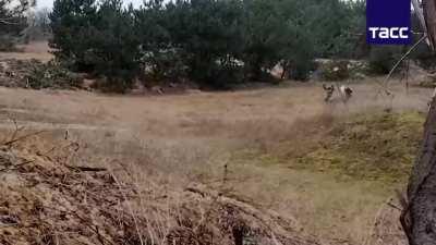 ru pov: Two Ukrainian soldiers surrender to Russian forces - Zaporozhie