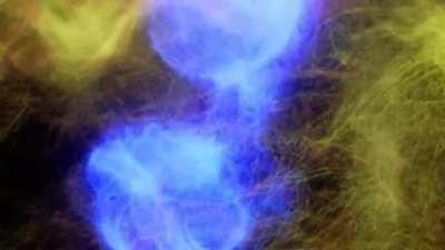 I made an animation that wonderfully suits pneuma.