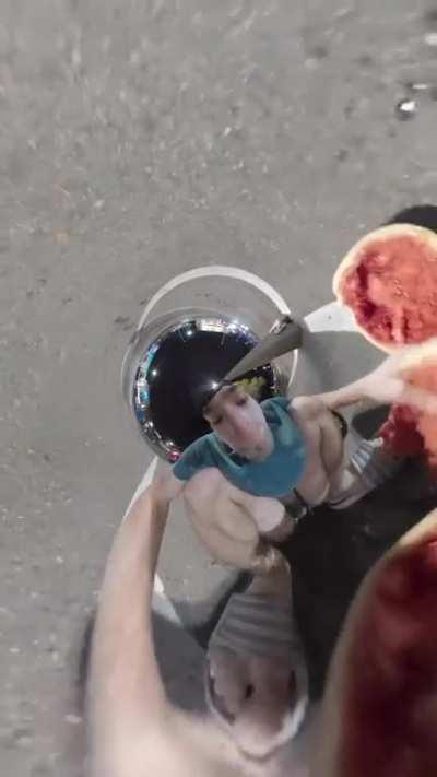 how to get free McDonald’s