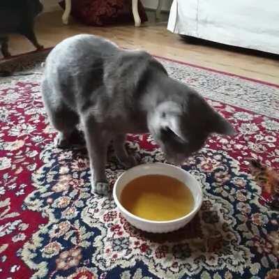 I made catnip tea for my cat.