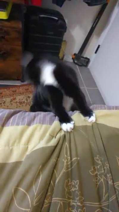 Her proud victory dance