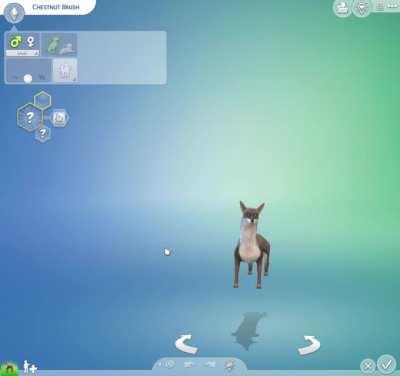 This weird dog appeared in my list of sims??? Has no traits, can't be edited, I don't have mods/cc