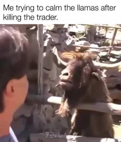 I just wanted the lead man :(