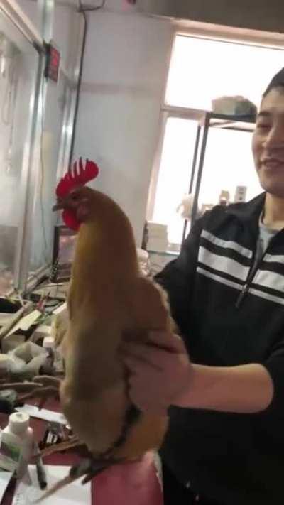 What in the hell is going on?