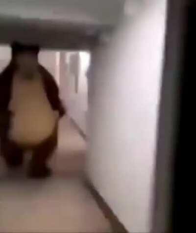 Its a bear dunno how to redit