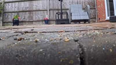 I have vids of women crushing in sneakers and boots, just message me if you’re interested.