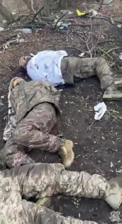 Remnant Ukrainians after the last operation