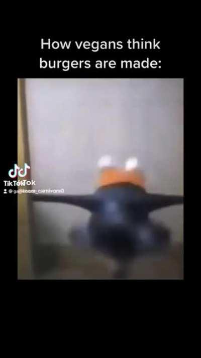 How vegans think burgers are made