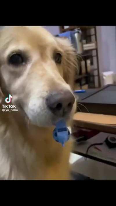 Pay attention to me!