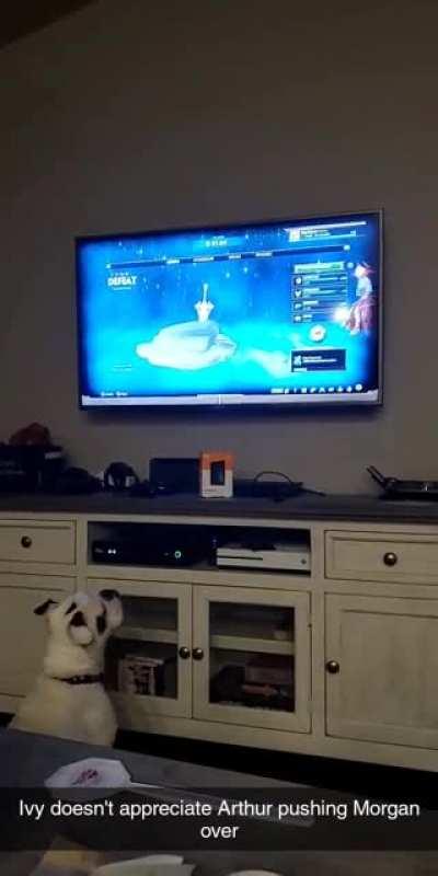 My dog hates this defeat screen